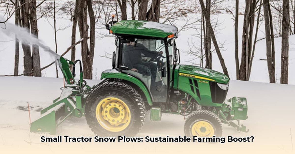 small-tractor-with-snow-plow